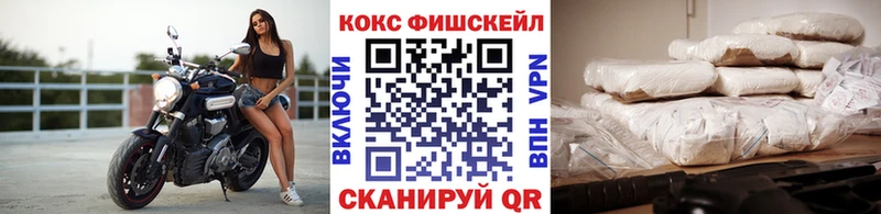 Cocaine FishScale  кракен как зайти  Тула 