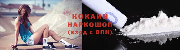 гидра Касимов