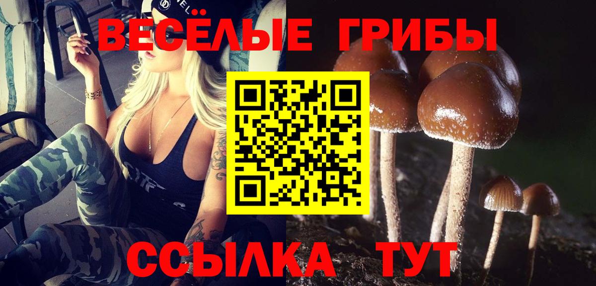 Тула  Псилоцибиновые грибы мицелий  Вход с VPN 